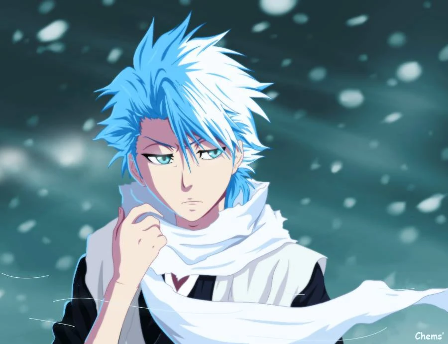 Hitsugaya Toshiro Wiki Roll santuario FANDOM powered by Wikia