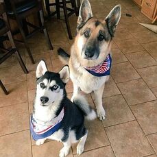 Flash and Zeus