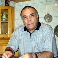 Nicolae Manolescu Romanian Literature Wiki Fandom