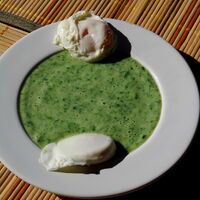 Cream Of Spinach Soup Romanian Recipes Wiki Fandom