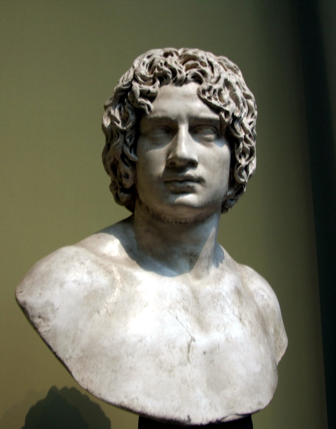 arminius mask arminius mask