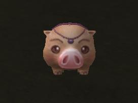 Pet
