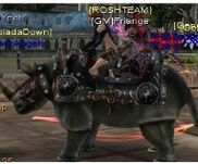 Rhino