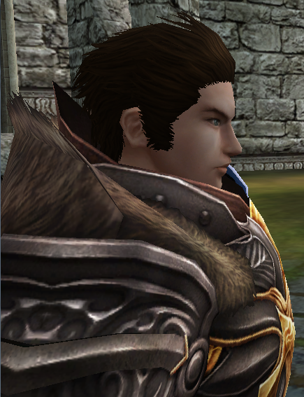 Blader | Rosh Online Wiki | FANDOM powered by Wikia
