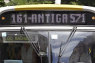 Antigalinha