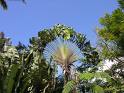 Jardin de Balata