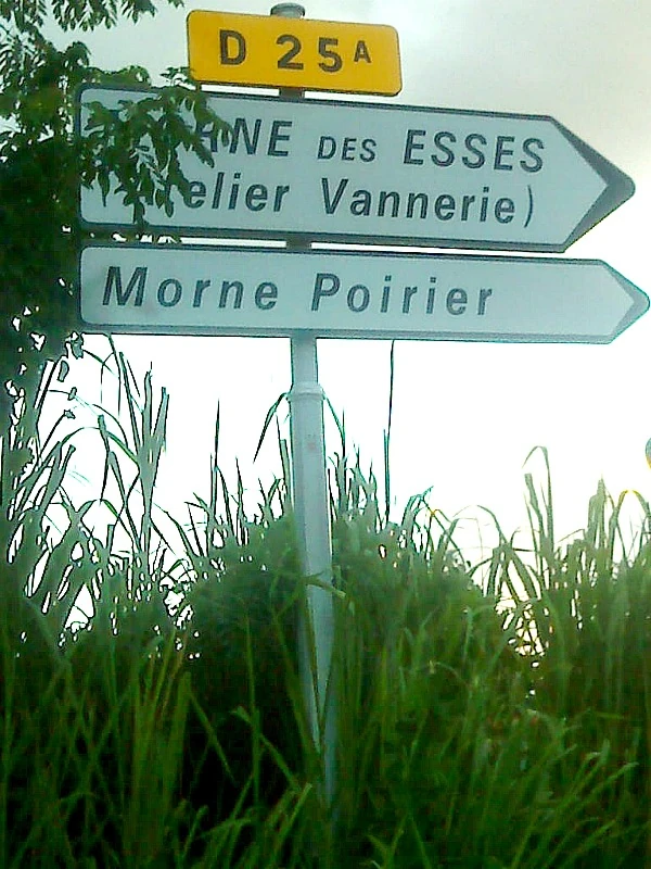 Route départementale française D25a (972) WikiSara FANDOM powered