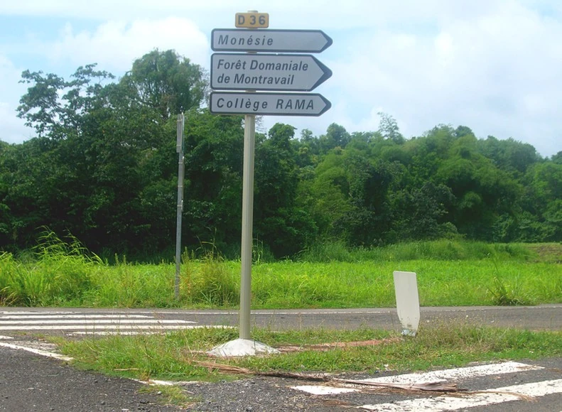 Route départementale française D36 (972) WikiSara Fandom