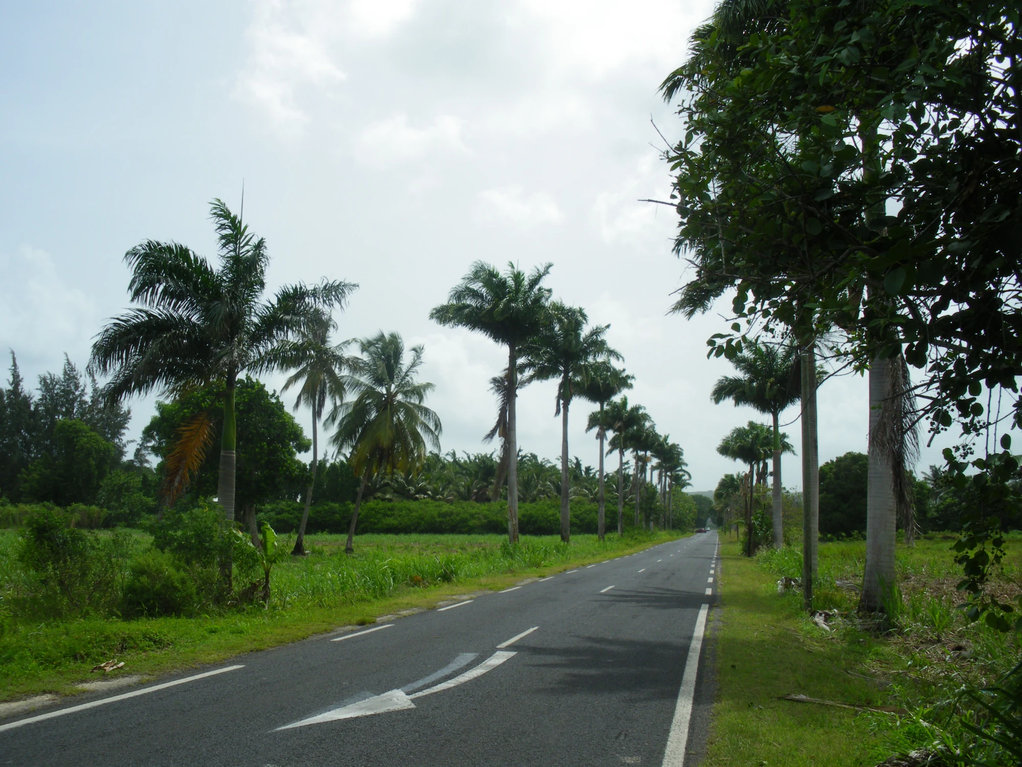 Route nationale française 9 (971) WikiSara FANDOM powered by Wikia