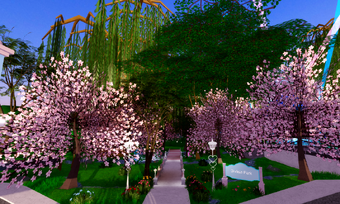 Royale High Divinia Park Background