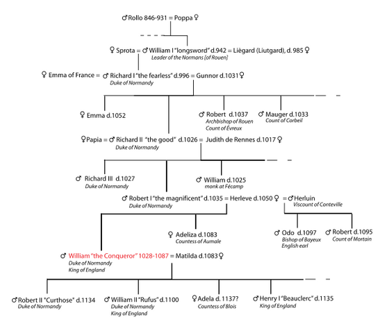File:Cronological tree william I.png