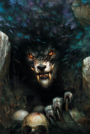 World of Warcraft Curse of the Worgen Textless