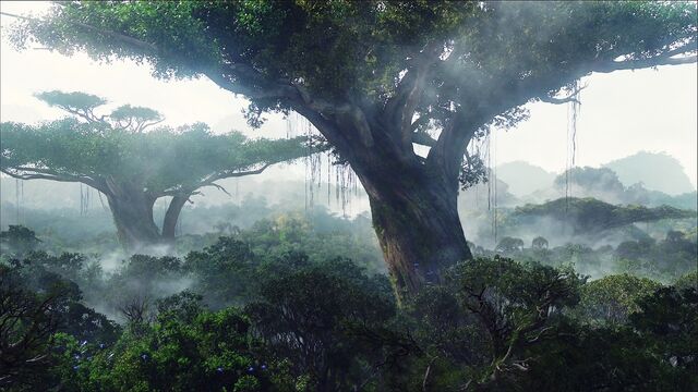 Fichier:Taëporia - Jungle.jpg