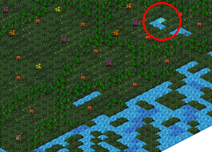 Lost Woods, net fishing