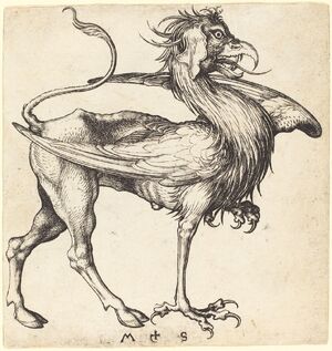 Griffin by Martin Schongauer