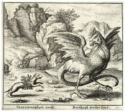 Wenceslas Hollar - The basilisk and the weasel