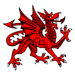 Heraldic dragon