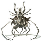 Lolth p82