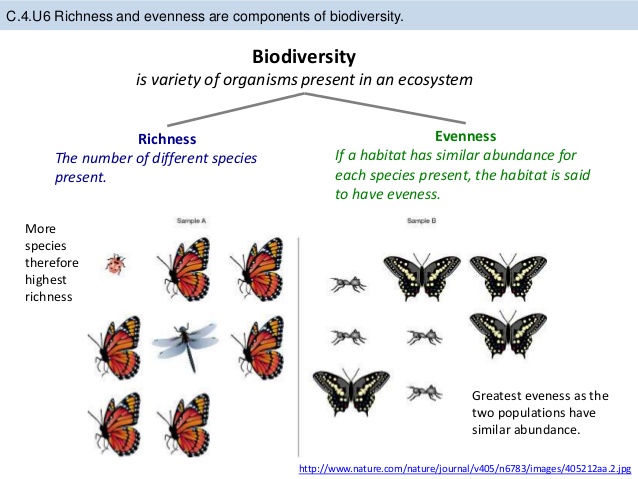 What process accounts for species diversity example — Bitbucket What process accounts for species diversity example — Bitbucket