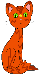 Feuer