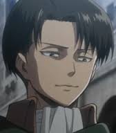 Levi