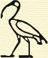 Ibis-logo-small