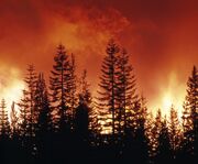 Lythel Great Fire2