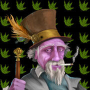STONER SOLOMON