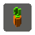 Carrotpet