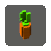 carrotpet