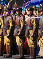 SecGuardNaboo