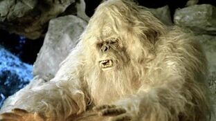 Yeti-wikipedia-commons
