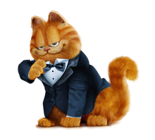 Garfielld