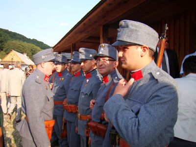 Austro-German troops