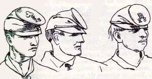 Forage cap