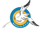 Bermudarugby