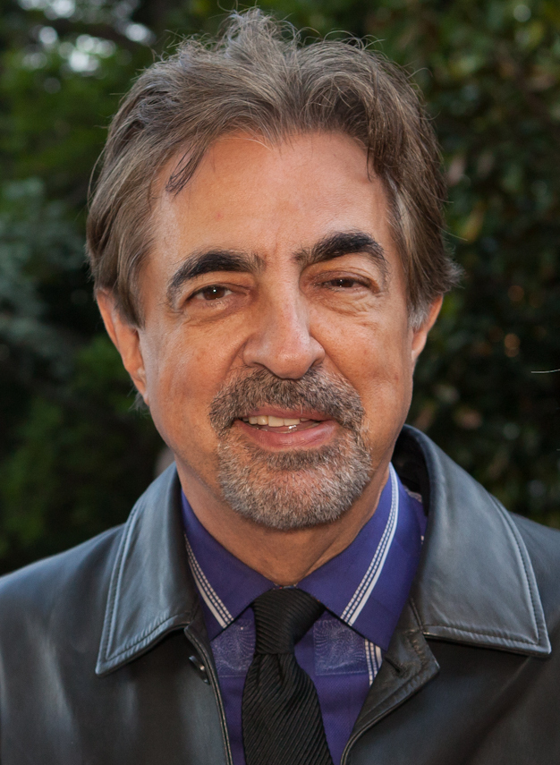 Image Joe Mantegna.png Rugrats Wiki FANDOM powered by Wikia