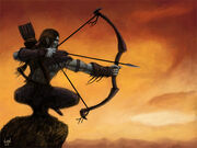 Ascheya-archer