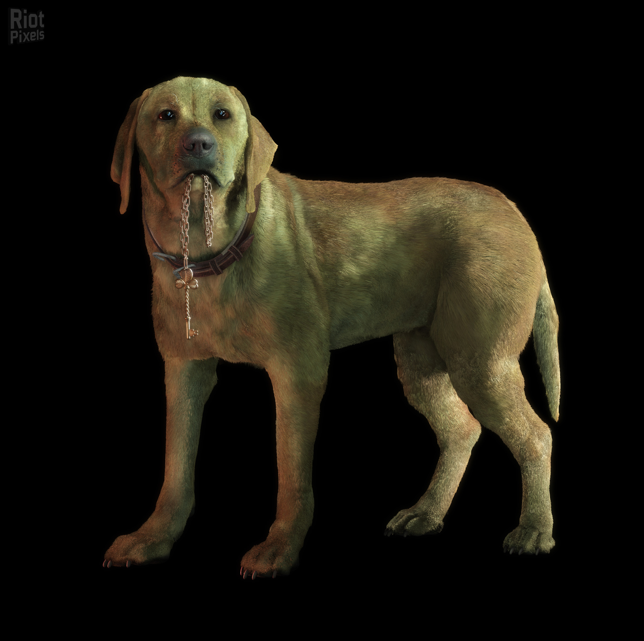 Brown | Rule of Rose Wiki | FANDOM powered by Wikia