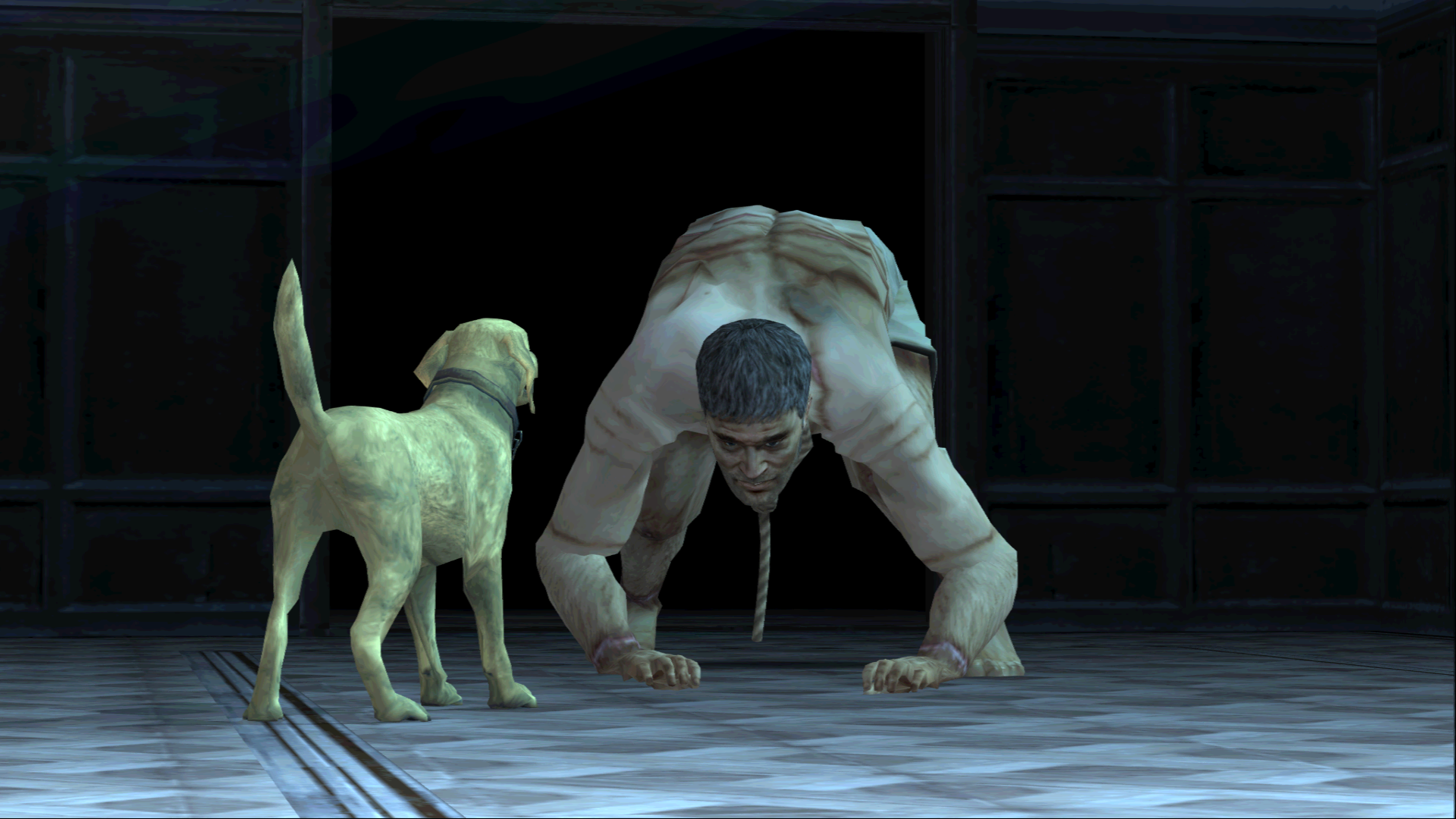 stray dog rule of rose