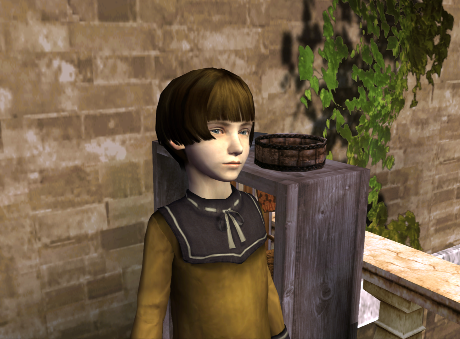 rule of rose hoffman rule of rose hoffman