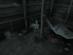 RicketyShed