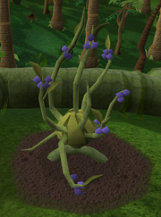 Lergberry7