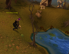Big Chompy Bird Hunting - InflatingToads