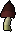 Black mushroom