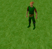 Placed monkey barrel