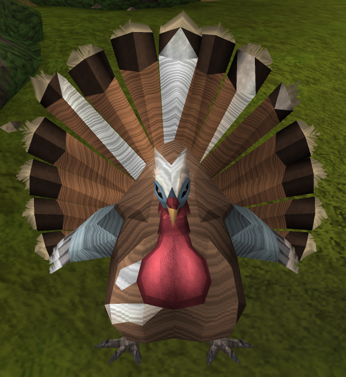 image angry turkey png runescape wiki fandom powered by wikia 13 06 november 26 2011