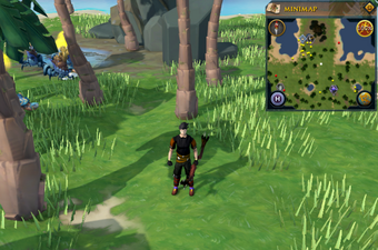 Treasure Trails Guide Emotes Runescape Wiki Fandom