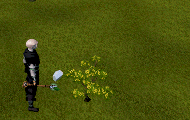 charm sprite runescape wiki fandom powered by wikia