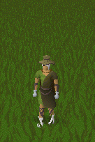 Runescape items teleportations enchantedlyre-play